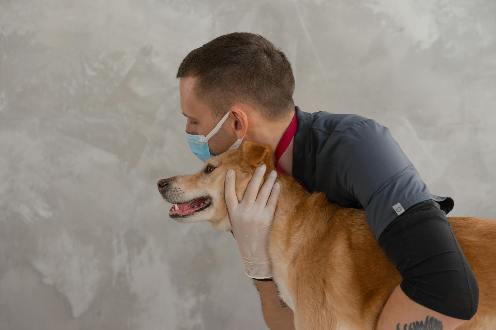 Dr.ssa Sofia Bertoldi &mdash; Direttrice sanitaria &middot; chirurgia