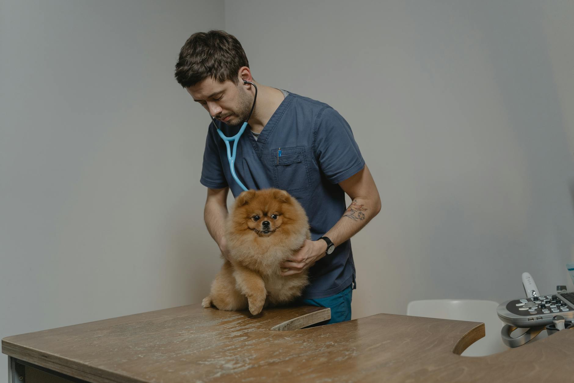 Dr. Marco Conti &mdash; Anestesista &middot; terapia intensiva